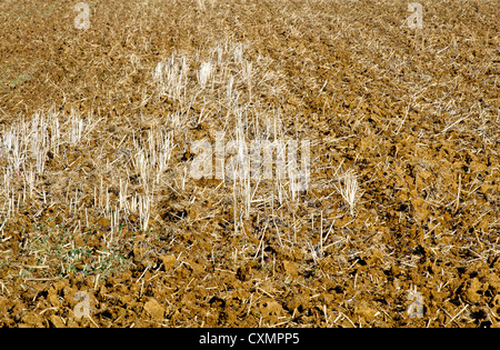 Campi arati, autunno agricoltura paesaggio, Francia Foto Stock