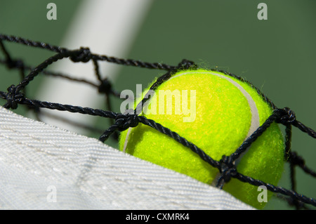 Verdolino brillante, giallo palla da tennis su dipinta di fresco corte di cemento Foto Stock
