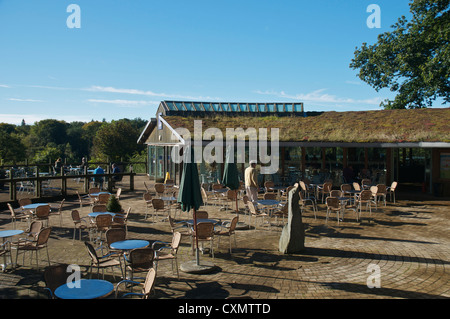 Il Westonbirt Arboretum cafe Foto Stock