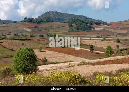 Myanmar Birmania. Terreni agricoli nello stato di Shan. Foto Stock