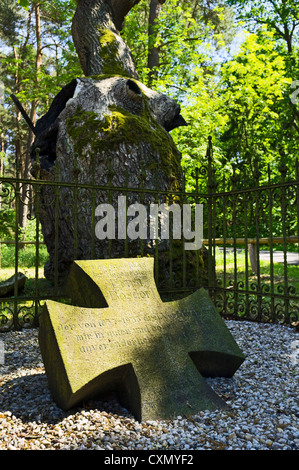 Lapide a Bosdorf Quercia, Glashütte, Baruth, Brandeburgo, Germania Foto Stock