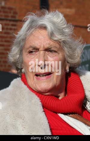 Bourne,Lincolnshire il 7 Ottobre 2012 : Betty Hill Foto Stock