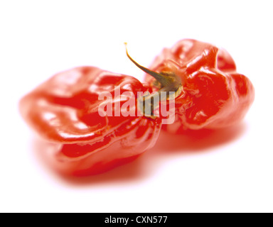 Due Scotch Bonnet il peperoncino su bianco. ©MAK Foto Stock