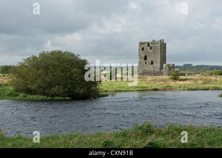 Threave il castello e il fiume Dee Foto Stock