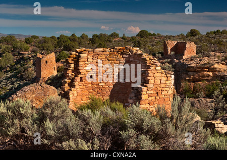 Punto di torre rovina, Hovenweep National Monument, Colorado Plateau, Utah, Stati Uniti d'America Foto Stock