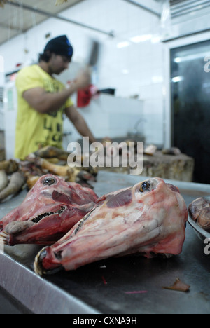 Macelleria Mercato in Dubai, Emirati Arabi Uniti, Emirati arabi uniti, Golfo Persico, la Penisola Arabica, in Asia. Foto Stock