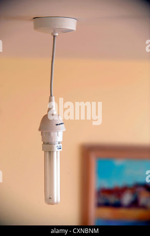 Un risparmio di energia (CFL) fluorescente compatta lampadina luce REGNO UNITO Foto Stock