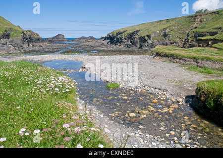 Porth Mear, una piccola baia a nord della Cornovaglia costa poco a sud della baia di Porthcothan Foto Stock