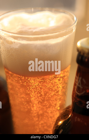 Bicchiere di birra e una bottiglia in luce estiva Foto Stock