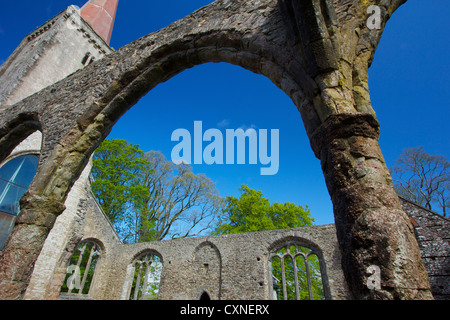 Angolo di visualizzazione della Chiesa della Santa Trinità Buckfastleigh Foto Stock