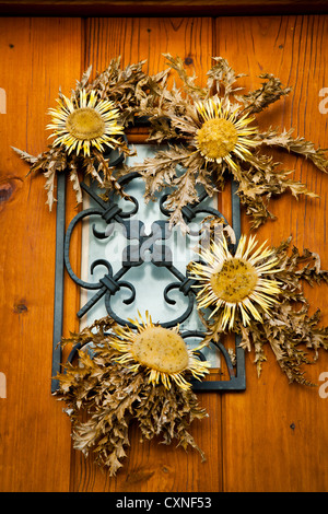 Stemless carline thistle (Carlina acaulis) fiore. Foto Stock