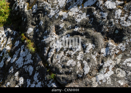 Roughting Linn, Northumberland - la coppa e l'anello di marcatura su uno sperone di roccia, attribuito all'età del bronzo becher di cultura. Foto Stock