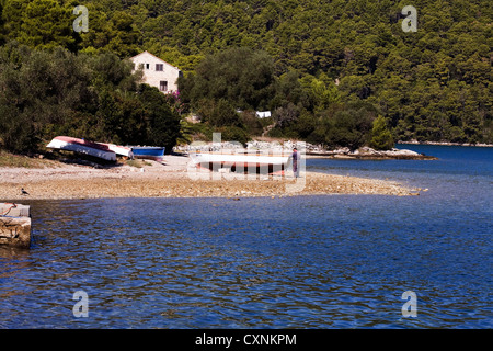 Barche da pesca ormeggiate sulla spiaggia Aleppo pineta in background Polace Porto isola di Mljet Dalmazia Croazia Foto Stock