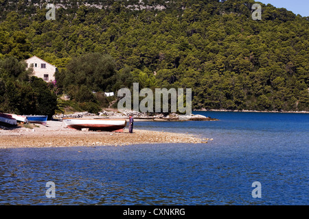 Barche da pesca ormeggiate sulla spiaggia Aleppo pineta in background Polace Porto isola di Mljet Dalmazia Croazia Foto Stock