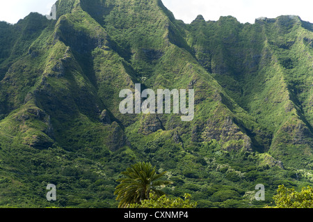 Elk284-1785 Hawaii, Oahu, lato sopravento, Ko'olau pali Foto Stock