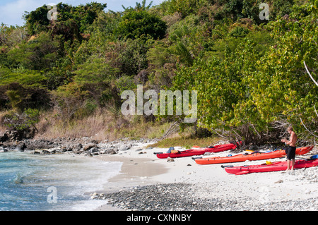 Stati Uniti d'America, USVI, St John. Tropical in inverno offre opzioni ricreative. Arawak led tour in kayak sulla baia di luna di miele/Salomon Bay Foto Stock