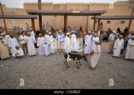 La folla al souk di bestiame in Nizwa, Oman Foto Stock