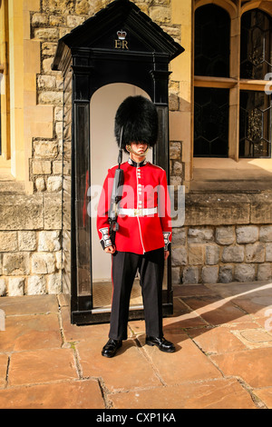 Guardsman di sentinella nella Torre di Londra Foto Stock