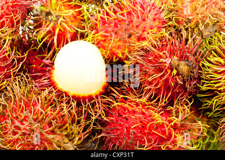 Rambutan Foto Stock