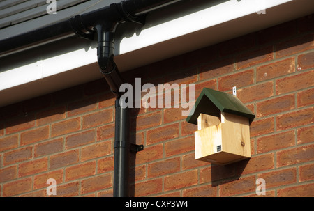 RSPB di nidificazione di uccelli scatola fissata in alto verso l'esterno di una casa. Foto Stock