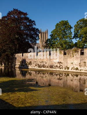 Vista sopra il fossato che circonda il Palazzo dei Vescovi con la Cattedrale di Wells dietro. Foto Stock