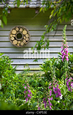 Hotel di insetto per api solitarie e vespe appeso garden house, Belgio Foto Stock