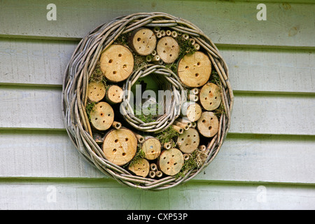 Spotted Flycatcher (Muscicapa striata) nesting in hotel per insetti per api solitarie e vespe appeso garden house Foto Stock