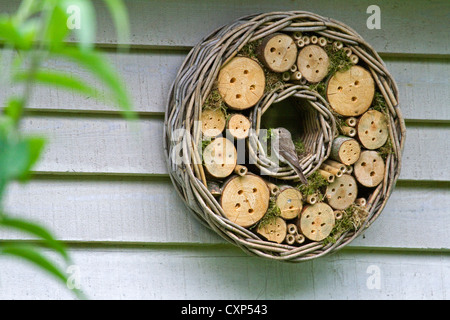 Spotted Flycatcher (Muscicapa striata) nesting in hotel per insetti per api solitarie e vespe appeso garden house Foto Stock