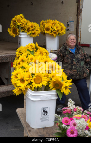 Detroit, Michigan - Una donna vende fiori al Mercato Orientale, un grande mercato degli agricoltori vicino al centro cittadino di Detroit. Foto Stock