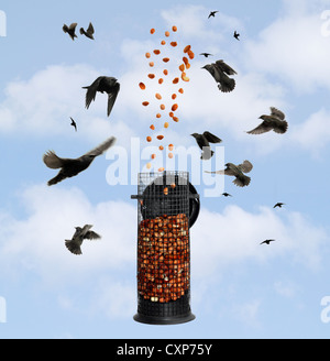 Immagine fusa che mostra gli uccelli in volo verso le arachidi che stanno cadendo in un Bird Feeder Foto Stock