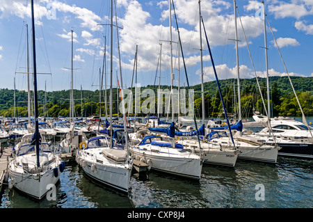 White yachts, scintillante nella luce solare, creare una foresta di alberi come galleggiano sulle tranquille acque del lago di Windermere Foto Stock