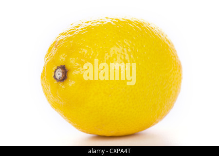 Uno dei limoni freschi isolato su bianco Foto Stock