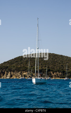 Cala Violina, una delle più belle baie della Toscana Foto Stock