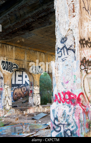 Battute di ponte lungo una sezione abbandonata del Dequindre tagliato in Detroit Michigan. Artisti di graffiti sono stati impegnati a decorare Foto Stock