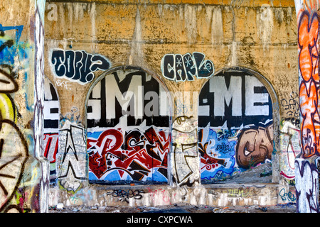 Battute di ponte lungo una sezione abbandonata del Dequindre tagliato in Detroit Michigan. Artisti di graffiti sono stati impegnati a decorare Foto Stock