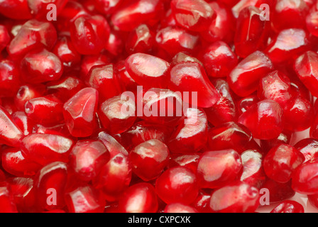 Macro di pelati semi maturi sfondo melograno Foto Stock
