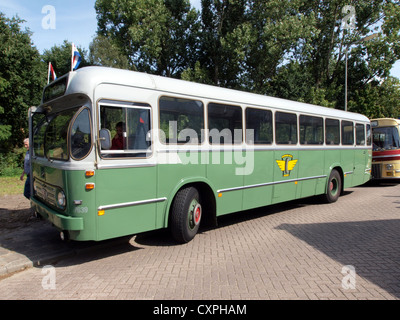 L'autobus Leyland-Den Oudsten lo del 1967 è un classico pullman progettato per i trasporti pubblici, caratterizzato da design vintage e ingegneria tipica degli autobus della metà del XX secolo. Foto Stock