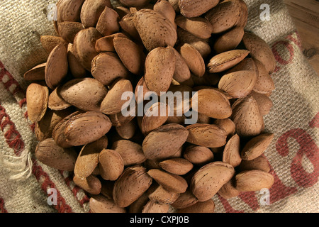 Immagine: Steve - Gara - appena raccolto Llargueta mandorle ancora nel loro guscio, Catalunya, Spagna. Foto Stock