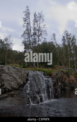 Il Flor & Fjaere (Flor & Fjaere) Giardini in Stavanger, Norvegia. Foto Stock