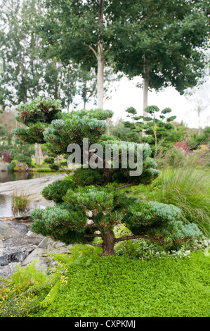 Il Flor & Fjaere (Flor & Fjaere) Giardini in Stavanger, Norvegia. Foto Stock