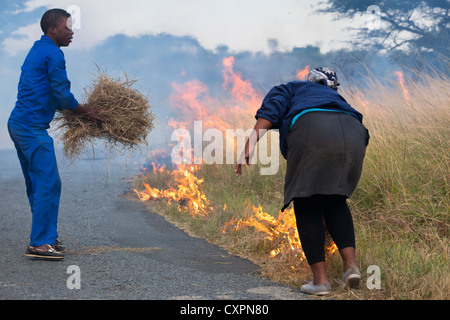Bruciando controllato per creare parafuoco nella parte anteriore del fuoco selvaggio, iMfolozi Game Reserve, Kwazulu Natal, Sud Africa Foto Stock
