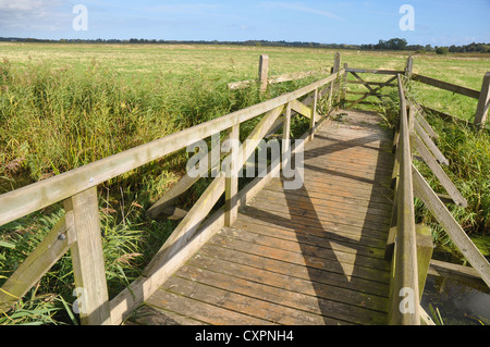 Parte del Carlton paludi Riserva Naturale vicino Lowestoft, Inghilterra. Foto Stock