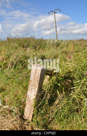 Parte del Carlton paludi Riserva Naturale vicino Lowestoft, Inghilterra. Foto Stock