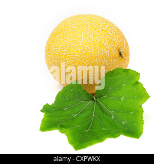 Melone Galia isolato su bianco Foto Stock