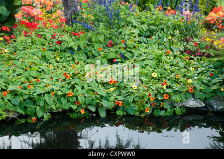 Il Flor & Fjaere (Flor & Fjaere) Giardini in Stavanger, Norvegia. Foto Stock