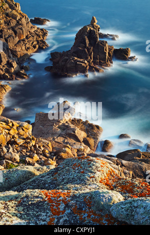 La piccola isola rocciosa conosciuta come la signora irlandese, preso da Pedn-uomini-du guardando verso Gamper bay in Cornwall Inghilterra. Foto Stock