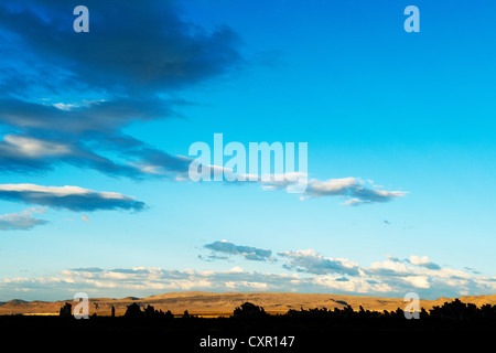 Il tufo formazioni rocciose, mono lake, california, Stati Uniti d'America Foto Stock