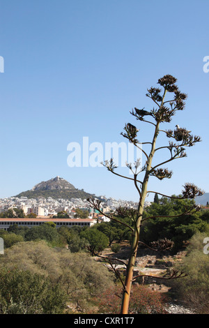 Vista del Monte Lycabettus da Apostolos Pavlos pesdestrian street, Atene, Attica, Grecia Foto Stock