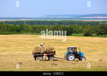 Agricoltori, trattori e raccolto di grano in Galizia, Ucraina occidentale Foto Stock