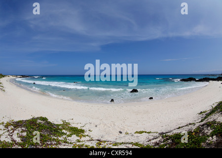 Makalawena Beach, Costa di Kona, Big Island delle Hawaii, STATI UNITI D'AMERICA Foto Stock